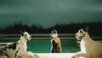 Scopata troie in collant brutale con una selvaggia quarantenne Video porno